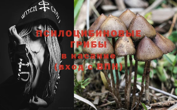 мет Богданович