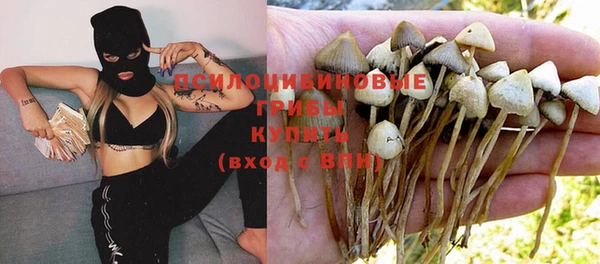мет Богданович